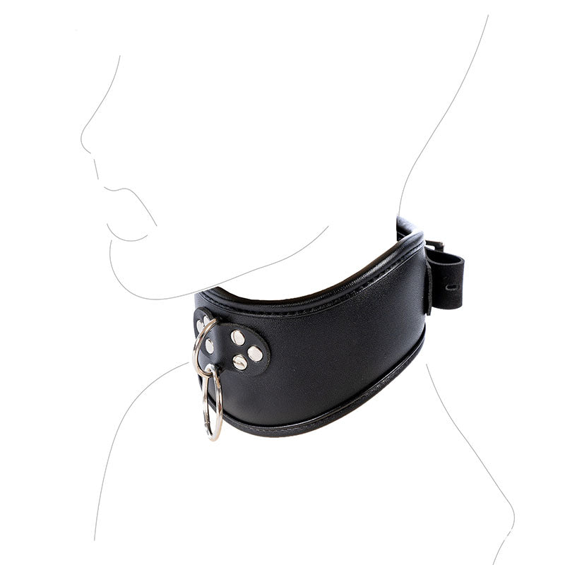 Beautiful neck sheath choker